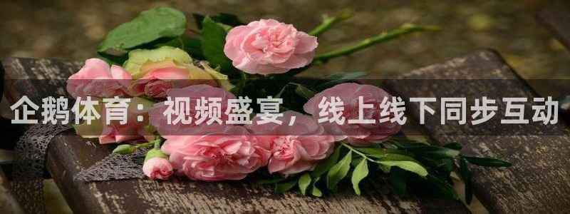 jrkan直播nba在线观看：企鹅体育：视频盛宴，线上线下同步互动