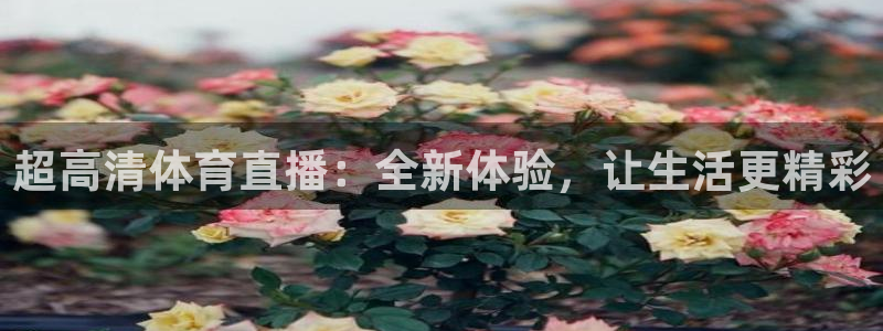 jrkan直播高清免费：超高清体育直播：全新体验，让生活更精彩