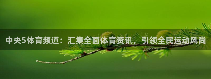 jrkan直播官网：中央5体育频道：汇集全面体育资讯，引领全民运动风尚