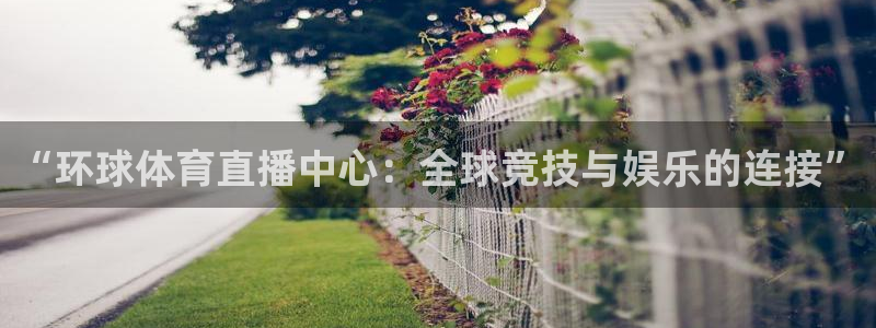 jrkan直播官网网址：“环球体育直播中心：全球竞技与娱乐的连接”