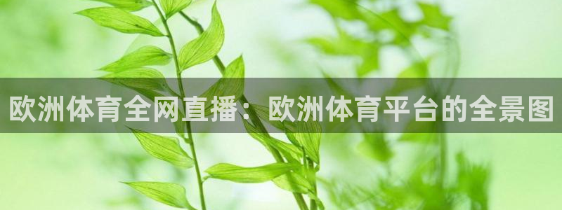 jrkan直播nba：欧洲体育全网直播：欧洲体育平台的全景图