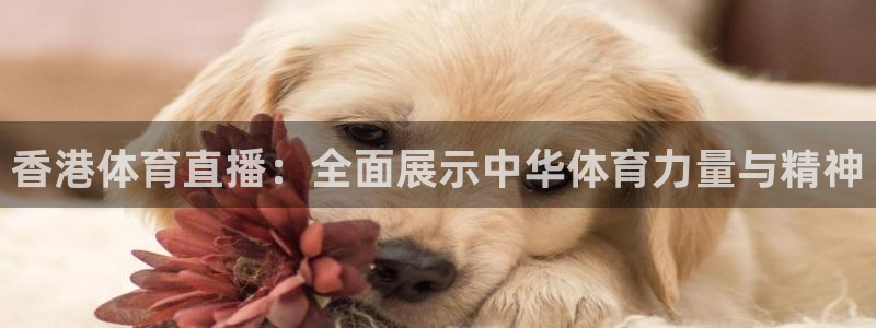 jrkan直播nba在线观看：香港体育直播：全面展示中华体育力量与精神