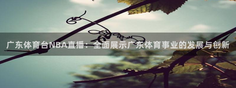 jrkan直播低调看直播：广东体育台NBA直播：全面展示广东体育事业的发展与创新