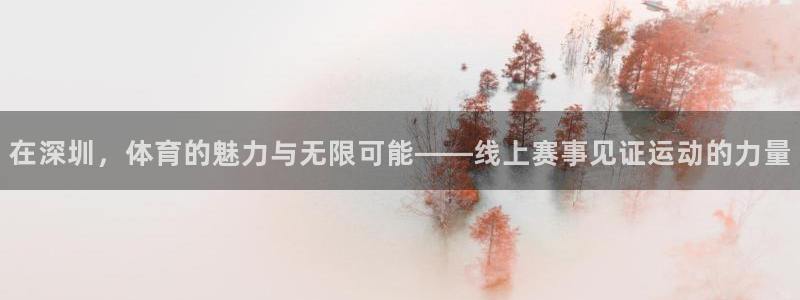 jrkan直播nba：在深圳，体育的魅力与无限可能——线上赛事见证运动的力量