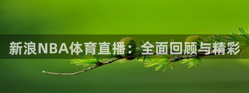 jrkan直播在线直播：新浪NBA体育直播：全面回顾与精彩