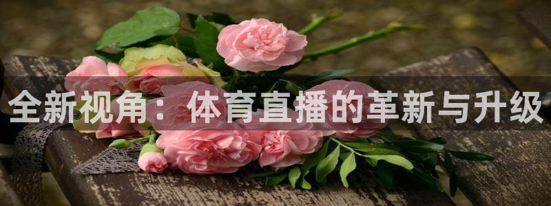 jrkan直播免费体育直播：全新视角：体育直播的革新与升级