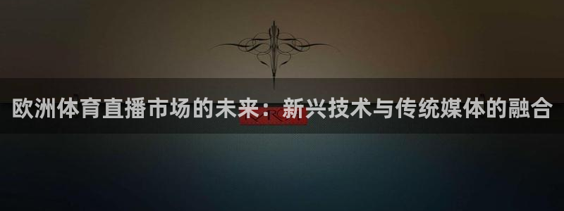 jrkan直播频道：欧洲体育直播市场的未来：新兴技术与传统媒体的融合
