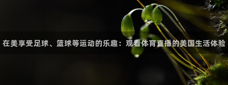 jrkan直播纬来：在美享受足球、篮球等运动的乐趣：观看体育直播的美国生活体验