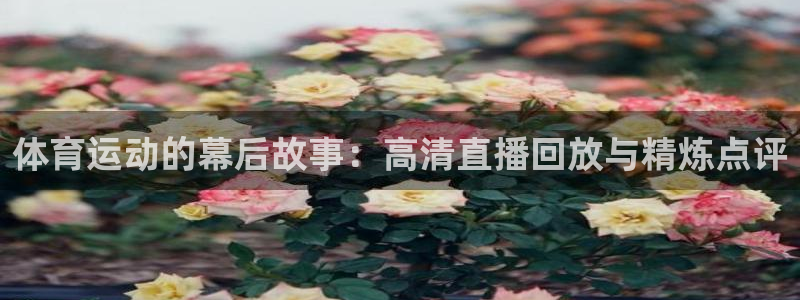 jrkan直播吧：体育运动的幕后故事：高清直播回放与精炼点评